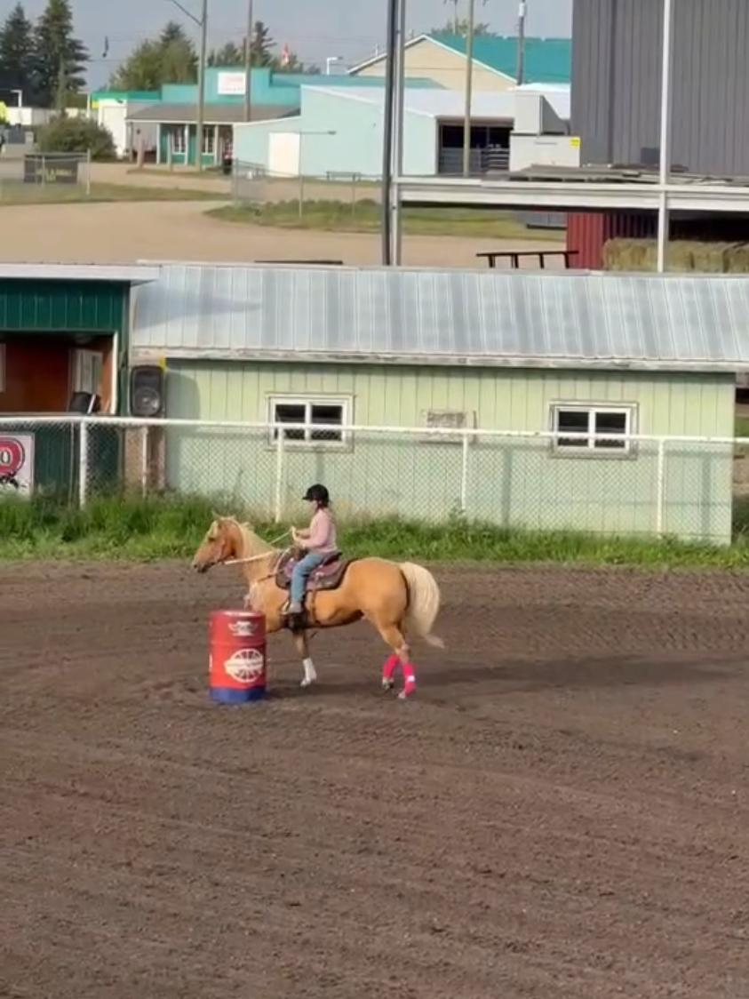 @EquestrianWeirdo