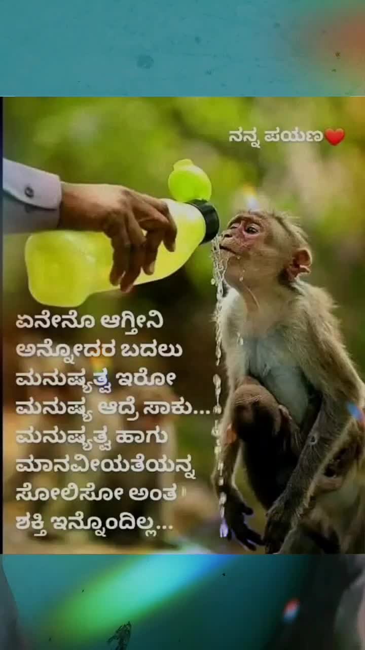 @🌷P💗S🌷