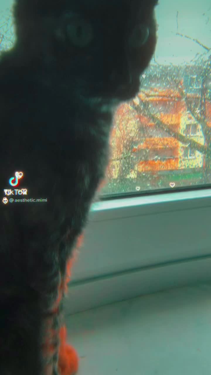 @𝐌𝐢𝐦𝐢<𝟑