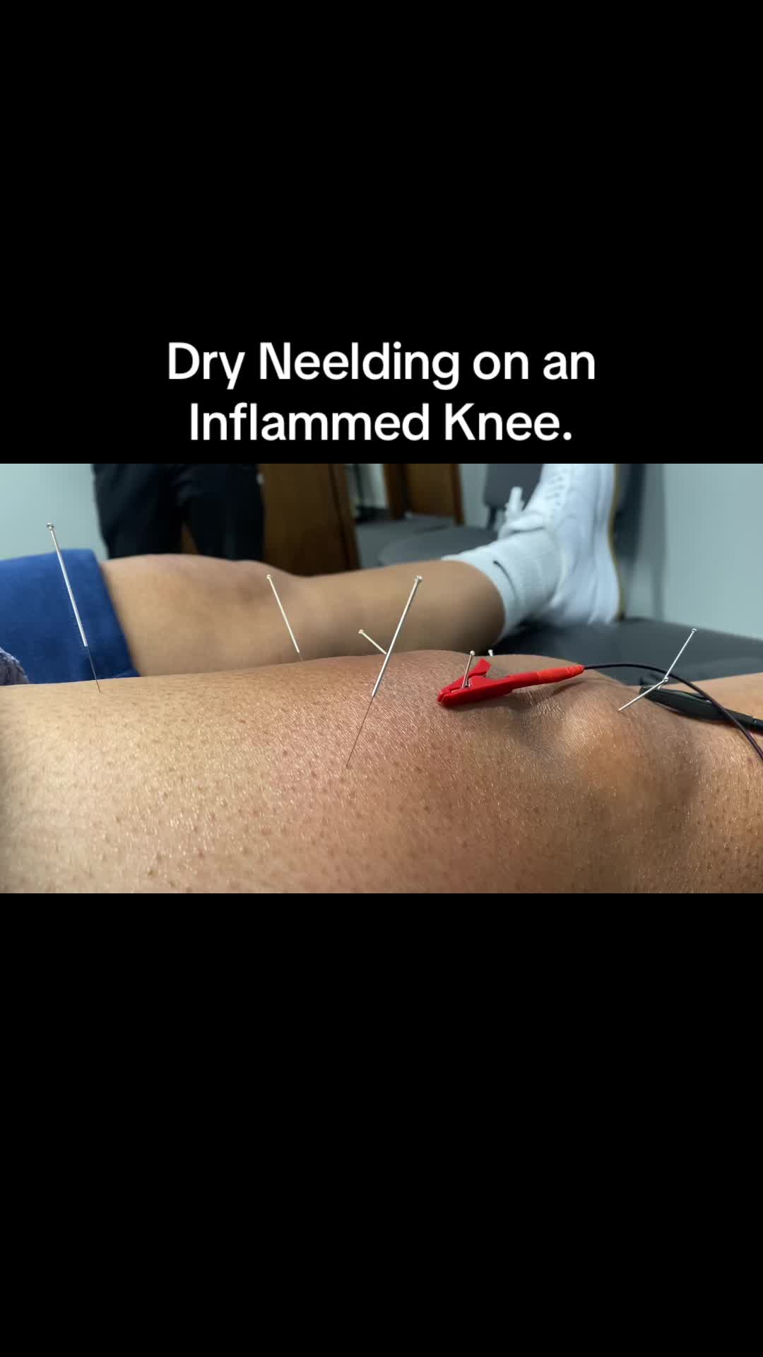 @spineinmotion