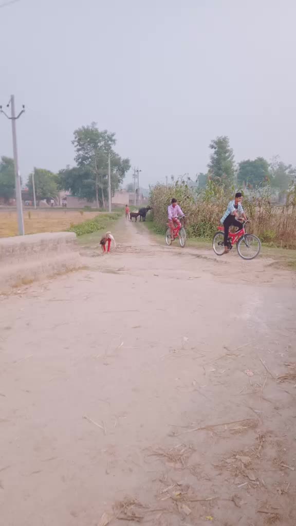 @miya bhai