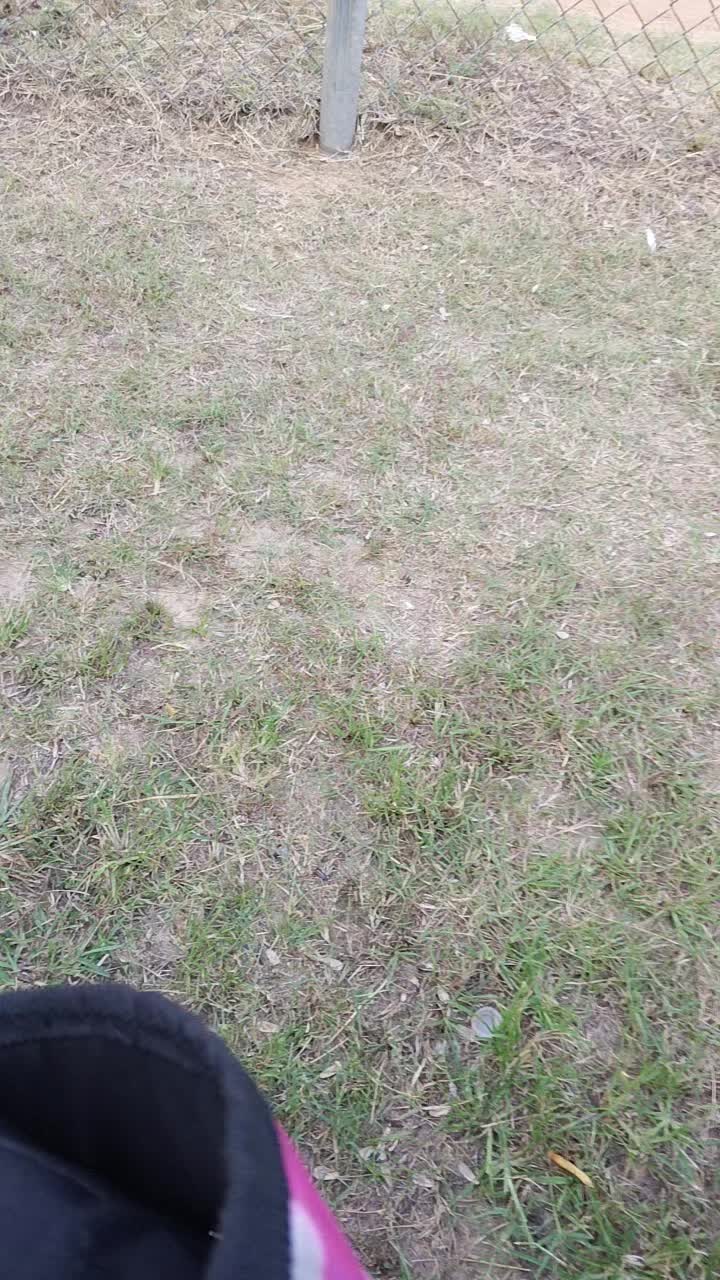 @rosecarter231