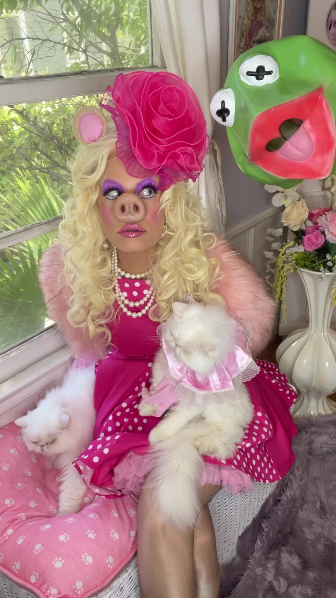 @Holly Meowy