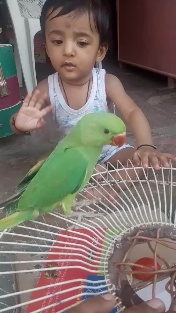 @🇨 🇺 🇹 🇪 boy