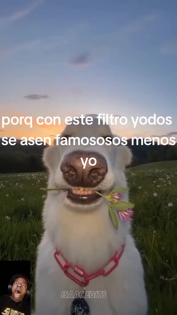 @Zaid Tadeo Morales Cordero