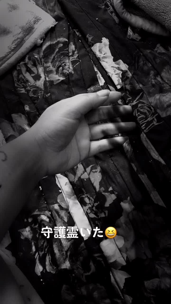 @🇯🇵良枝🇯🇵志國紫電改