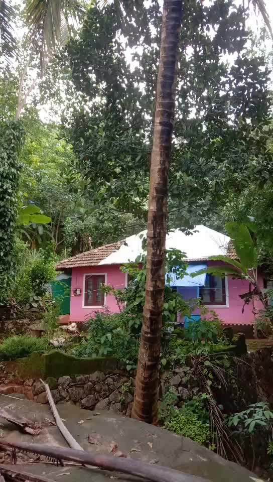 @മിലാഷ(മില്ലുസ് )
