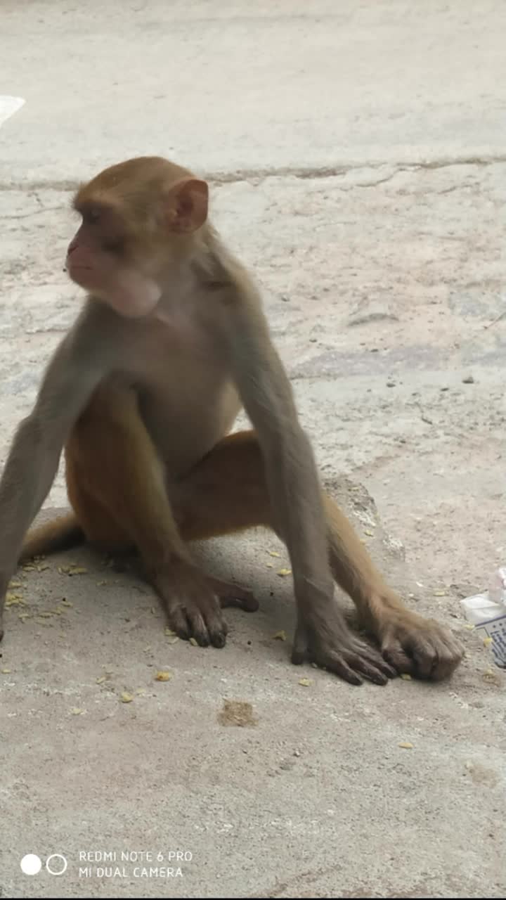 @sai bhai