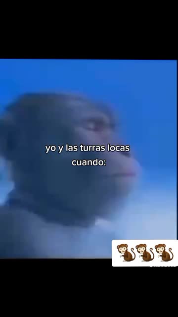 @romina.