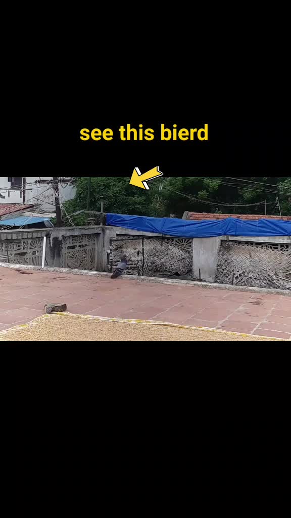 @ஒத்தக்கடை பையன்