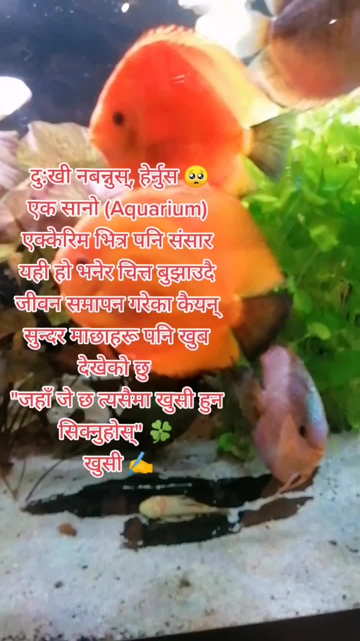 @मौनताको आवाज✍️