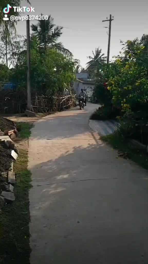 @prasad palaparthi