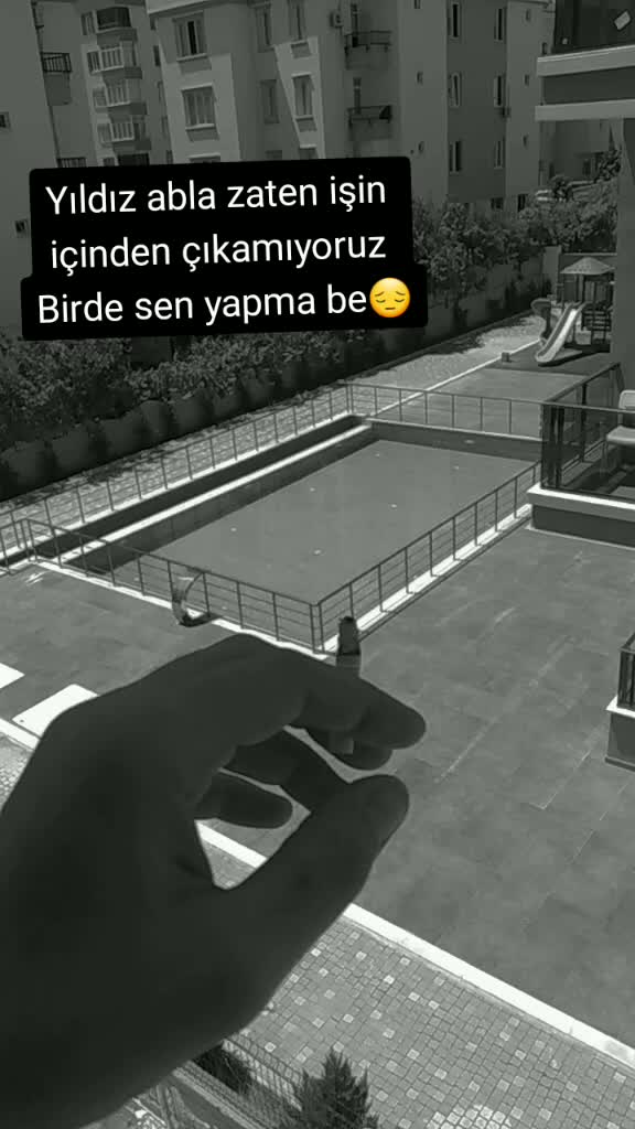 @HAYALETttt