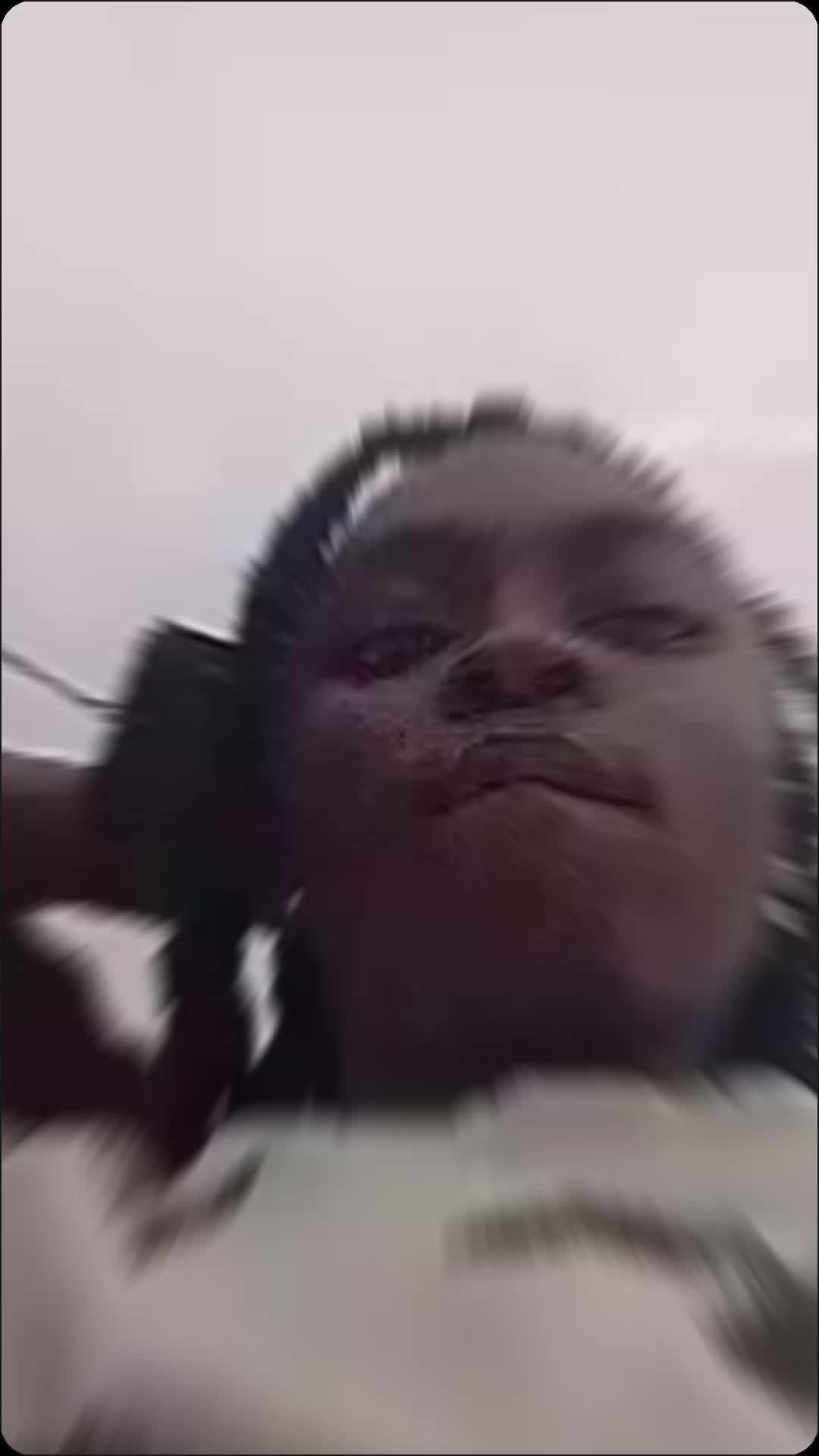 @SAD GURL