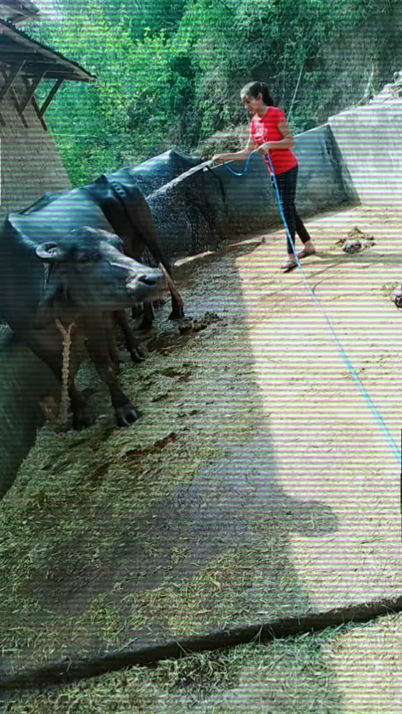 @kiran dhiman