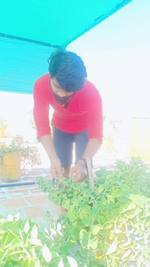 @AzhagiyaAsuran❤️