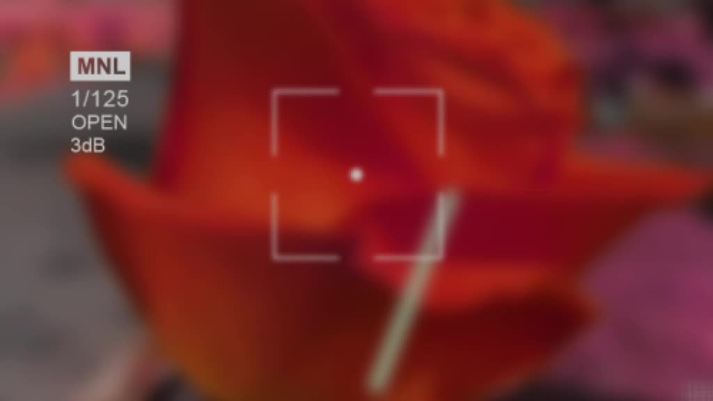 @G&oslash;l&ucirc; R&atilde;j ✔️
