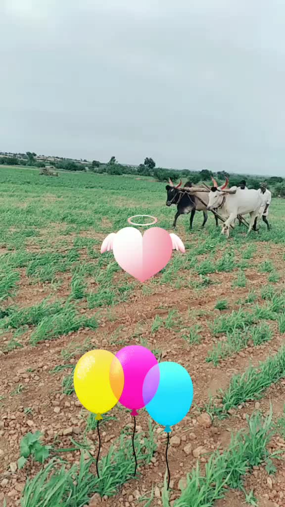@Saranppa M Saranppa