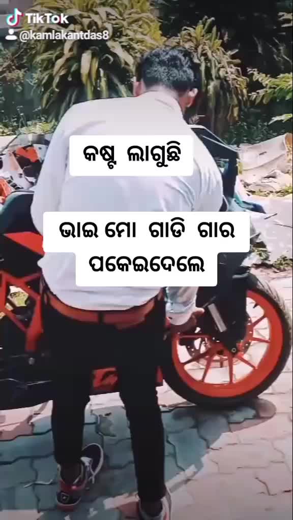 @user65081143229