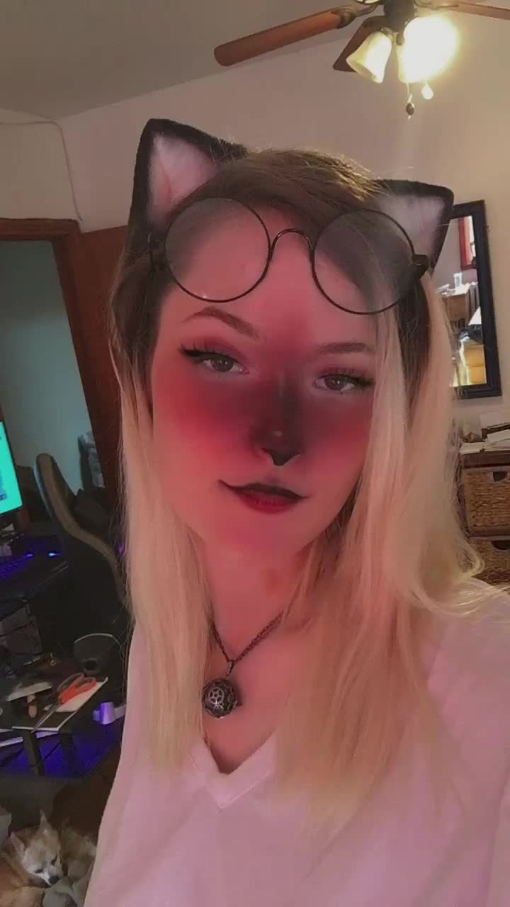 @Purrfina