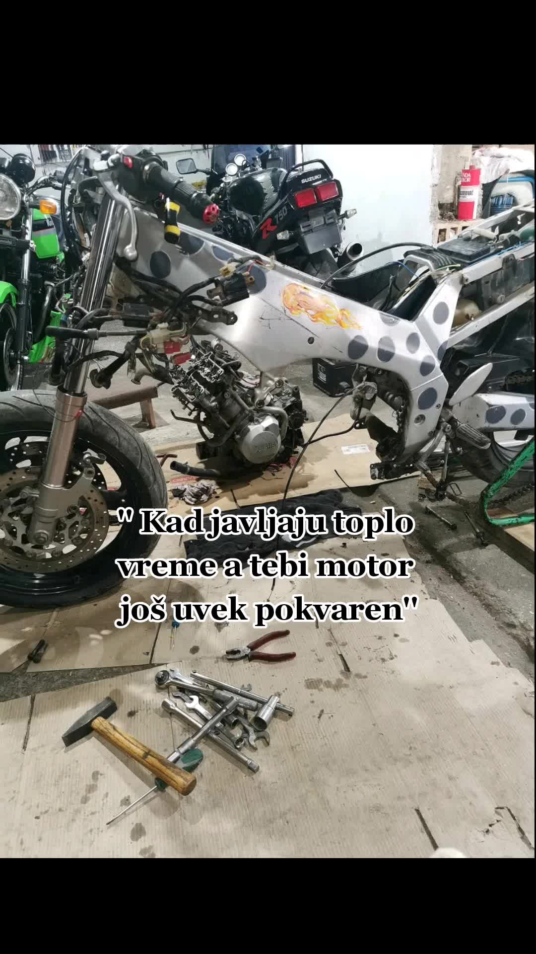 @Mitkee