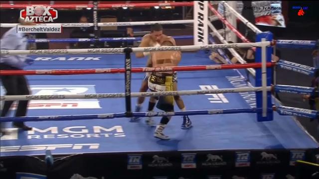 @boxeolmpasionygloria