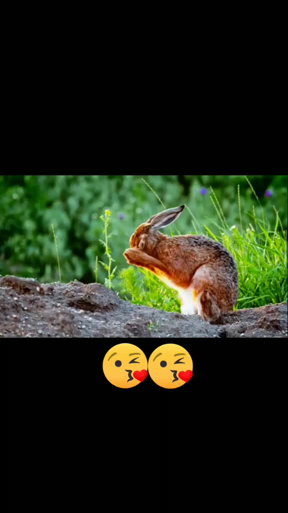 @Madhav bethampudi