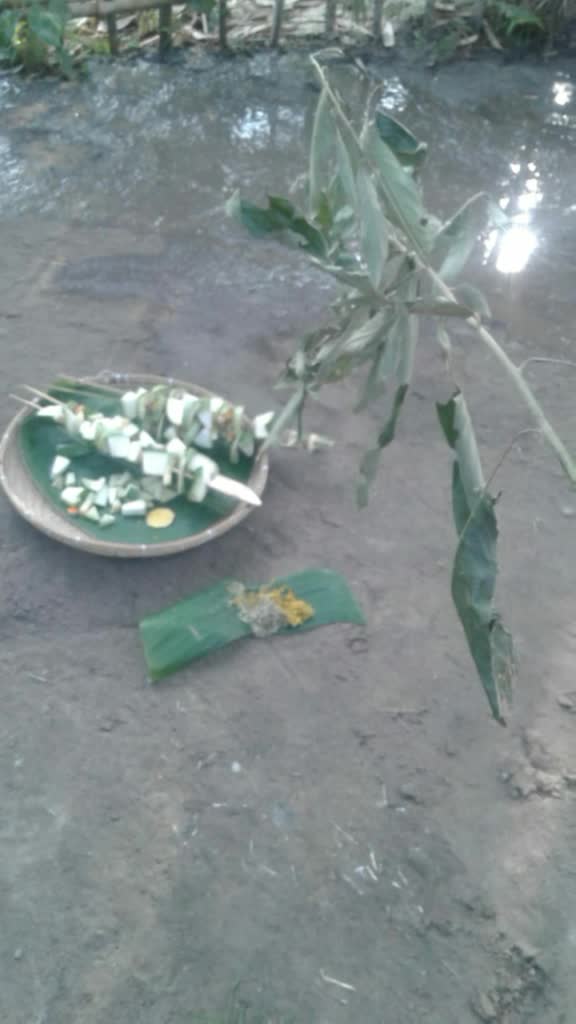 @Pranjal Pritom