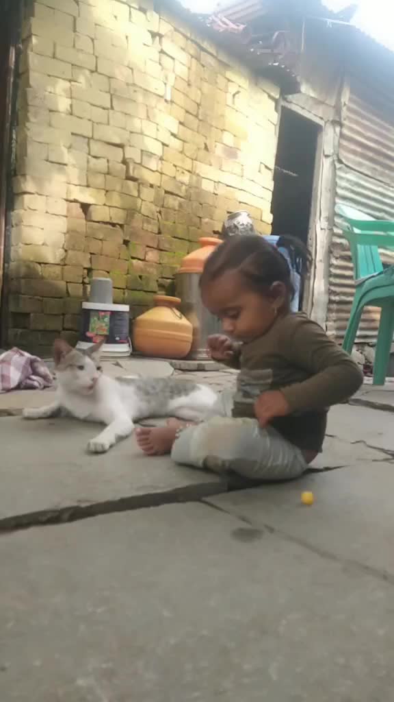 @सरकार अक्षयराजेभोसले