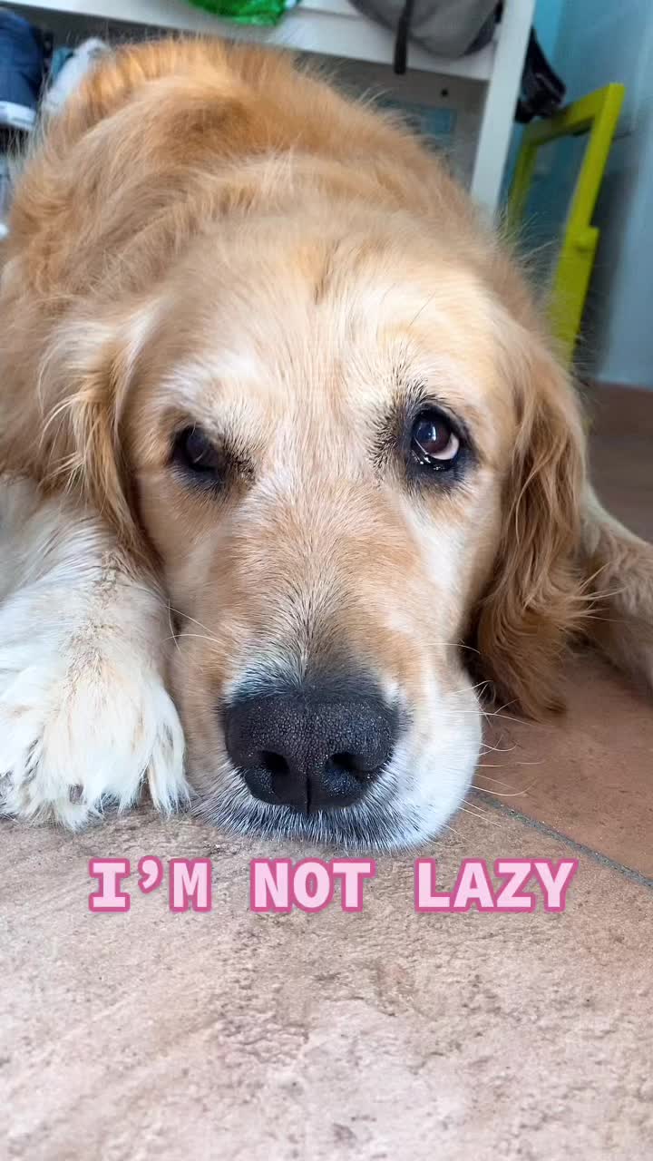 @🐶PENNY🐶