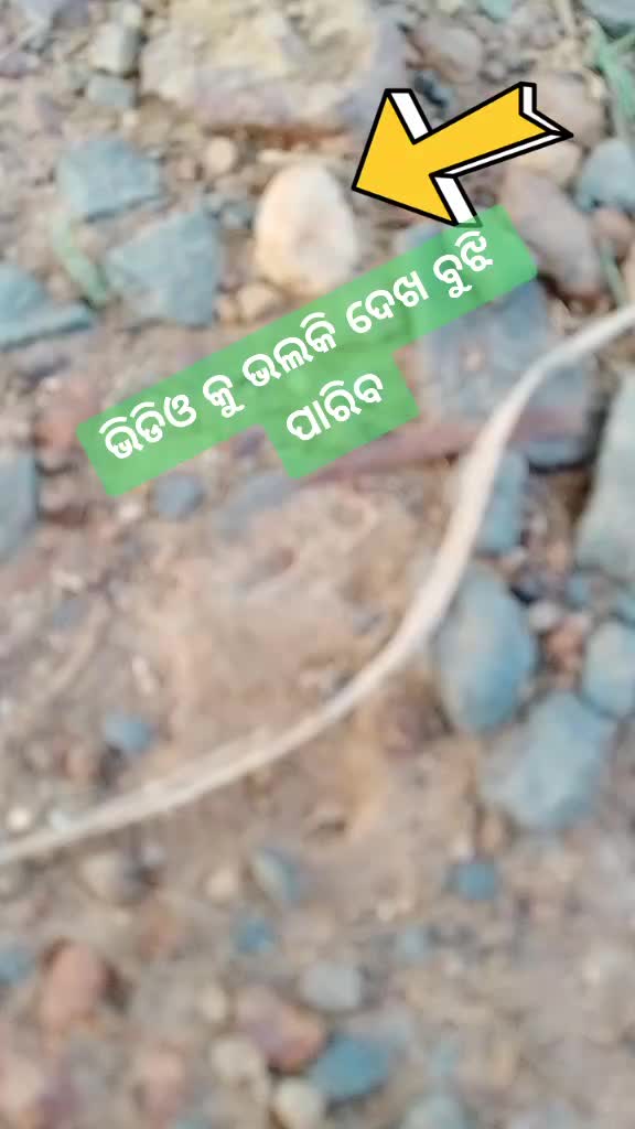 @Heart Hacker