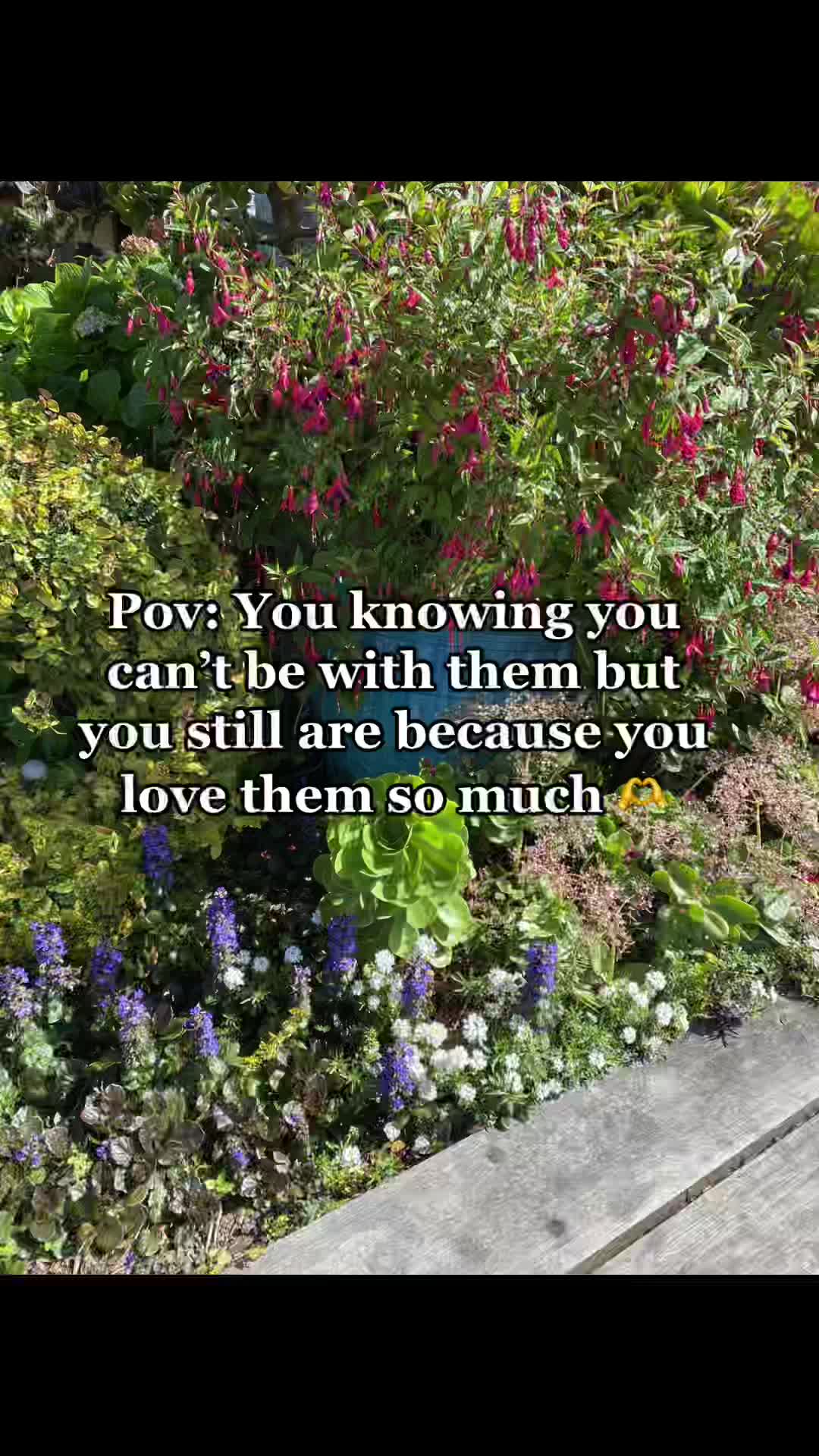 @ramon<333