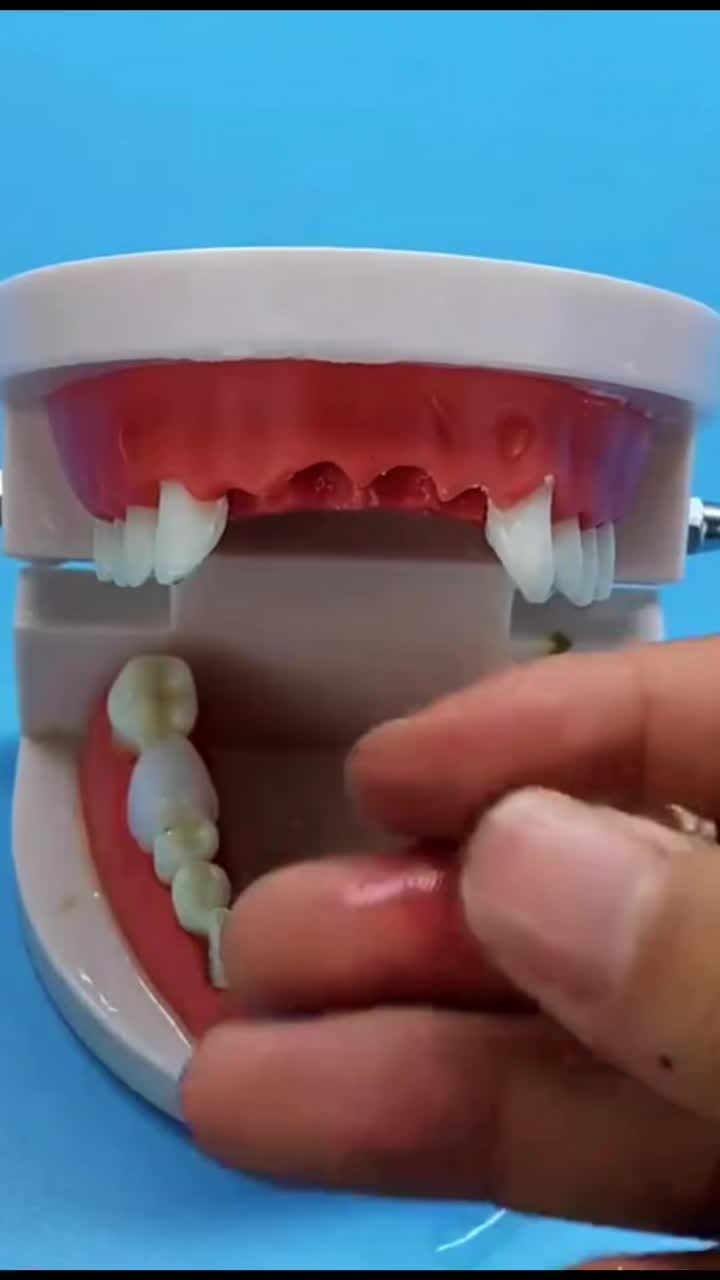 @user27659377866