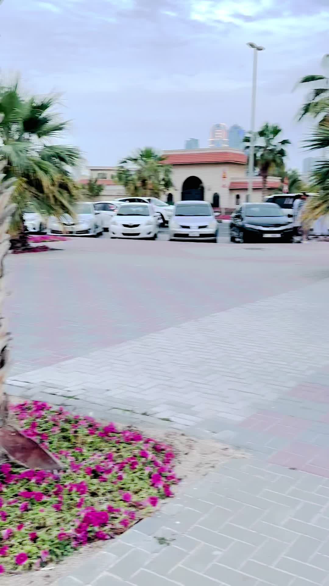 @👑 YASIR AFRIDI ⚡️