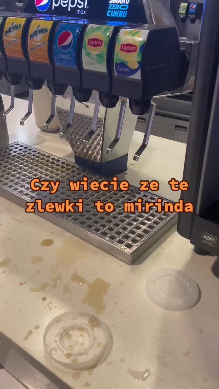 @gecko.reptileo