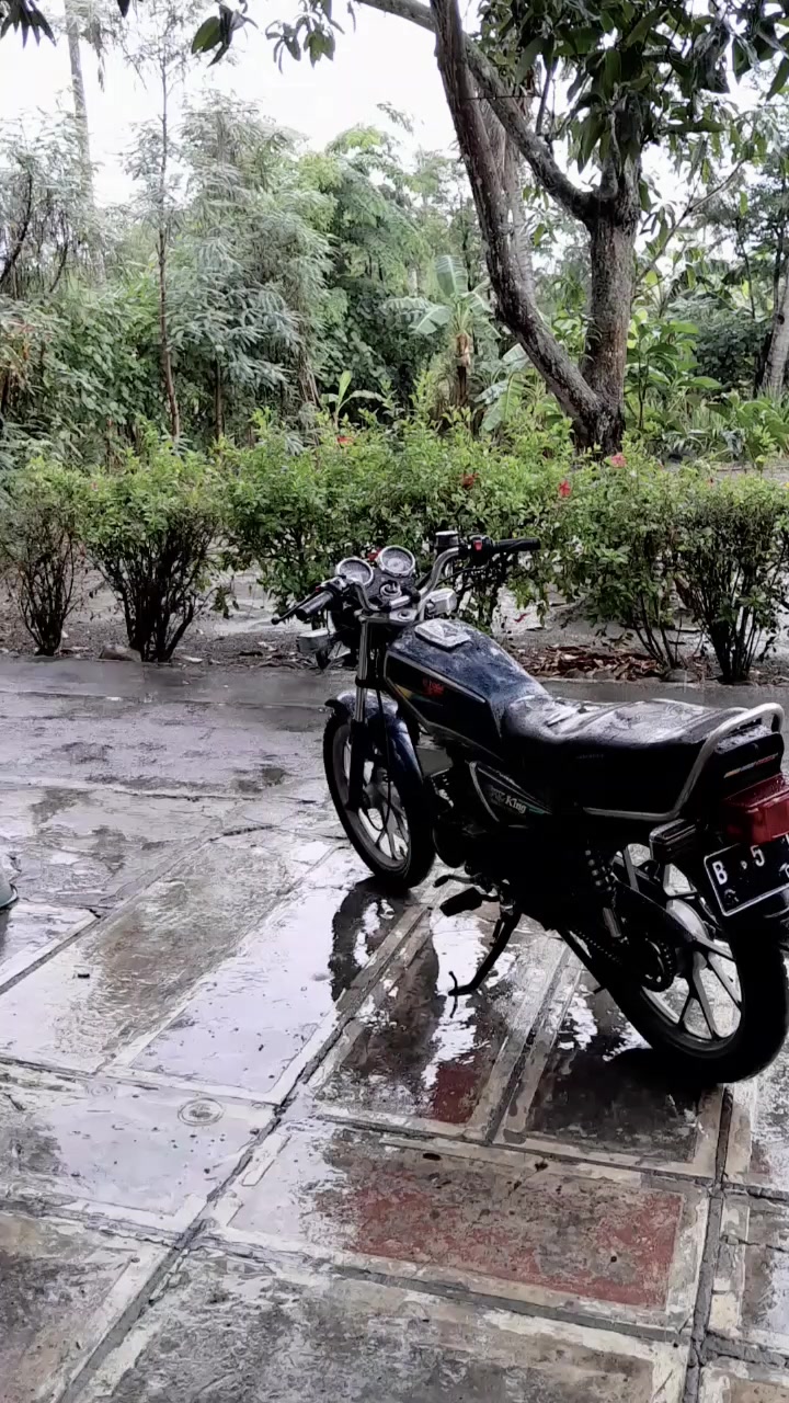 @sttwjjyyyyyyyy