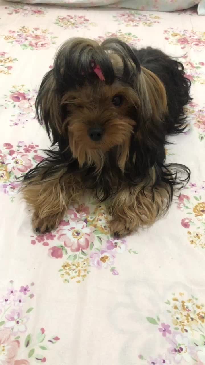 @Lua Cerqueira