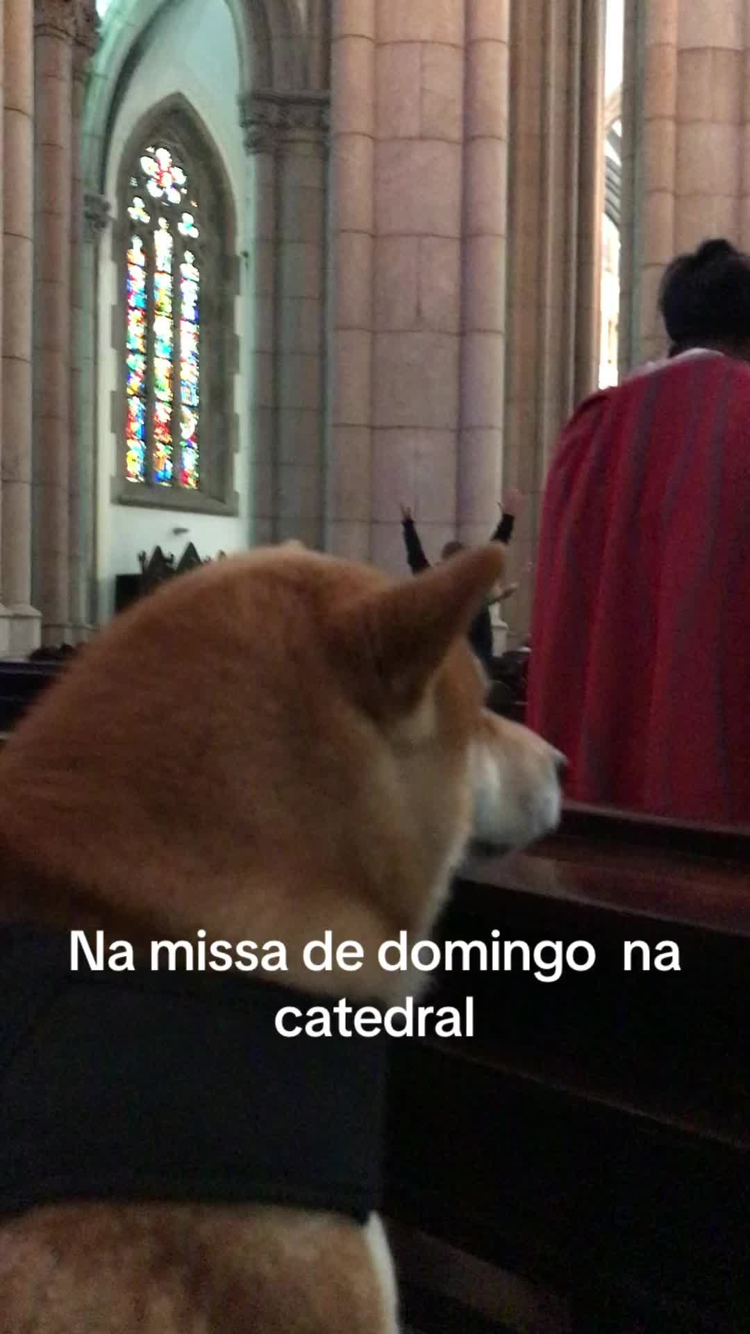 @Dj Nip