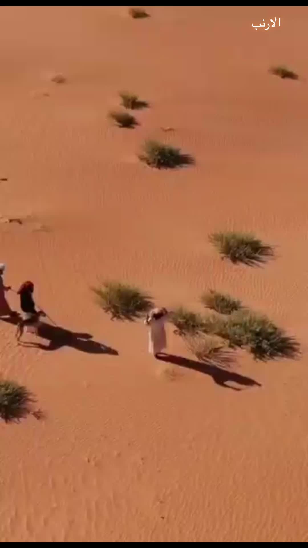 @تراثي