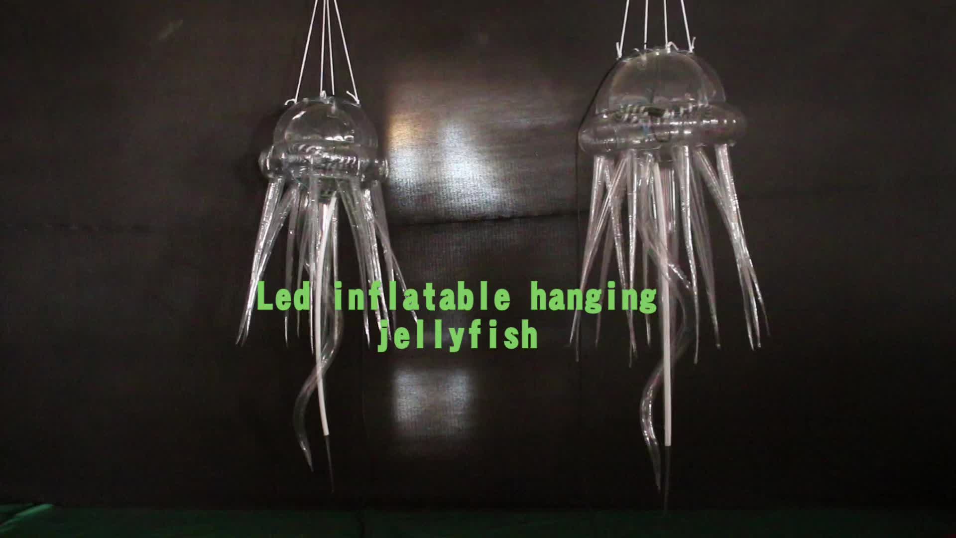 @Hongyi inflatable