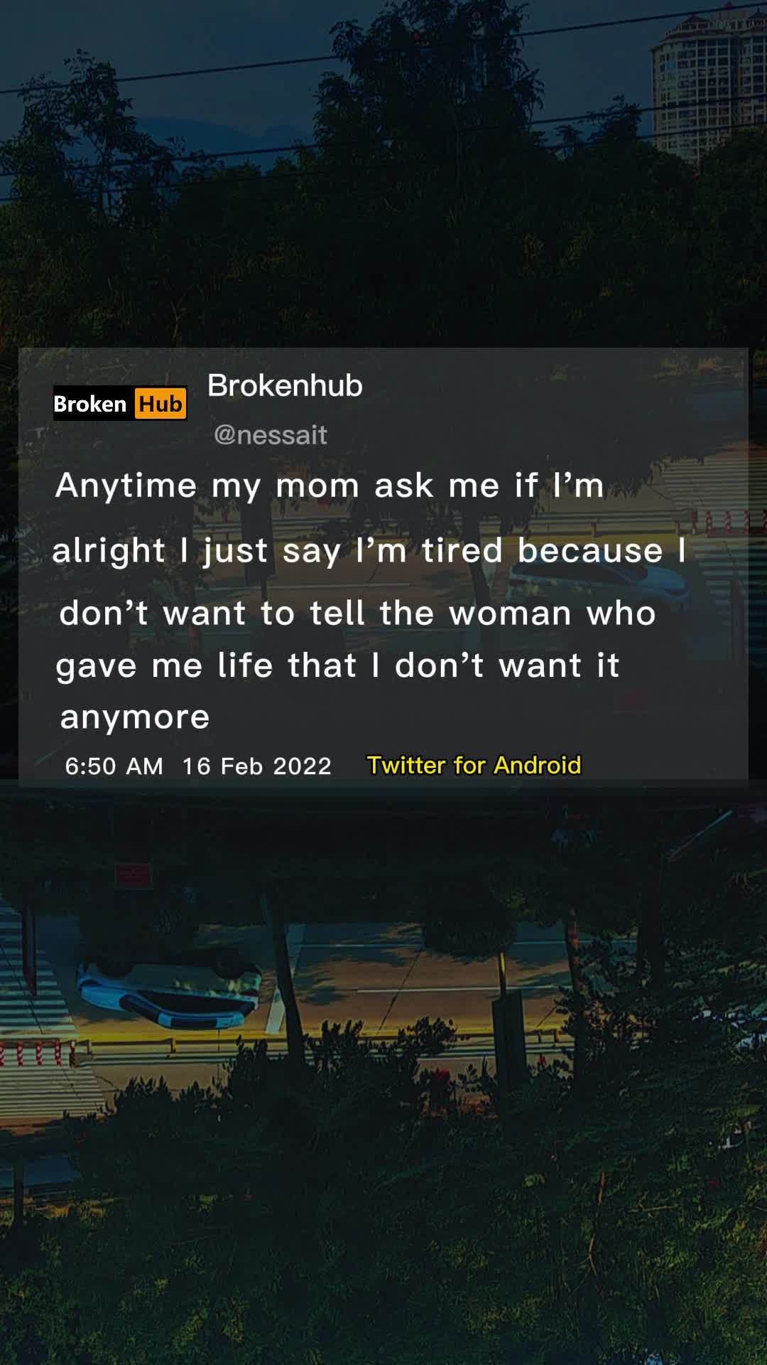 @user4213903641442