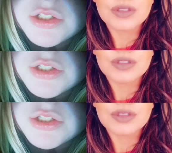 @tigerrr.Lily