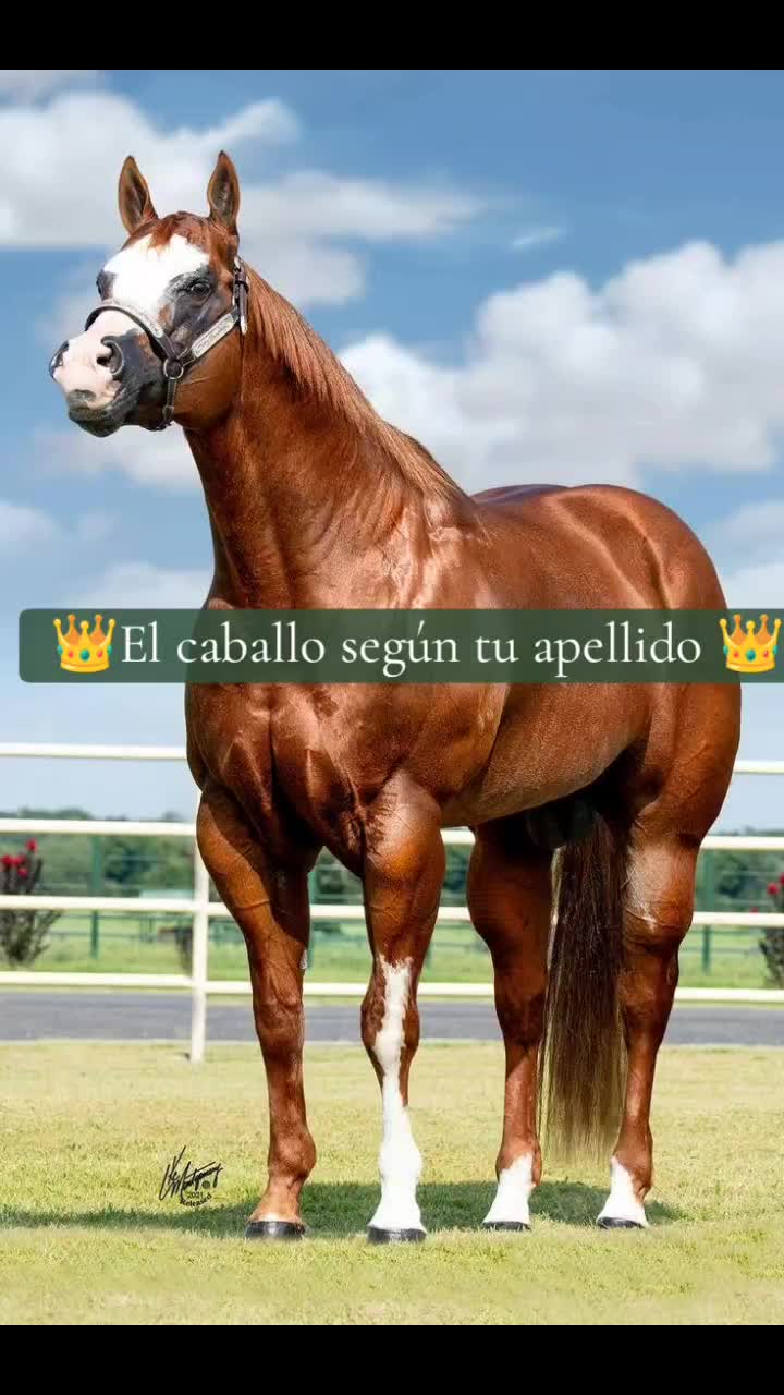 @Guillermo⚡☘️