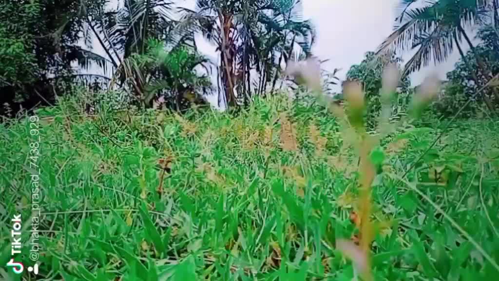 @@BHAKTA_PRASAD_143