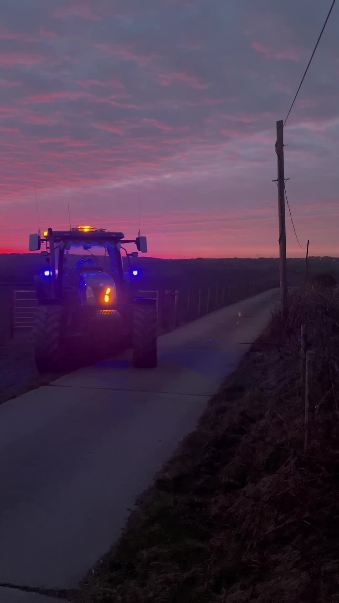 @MorganT6050