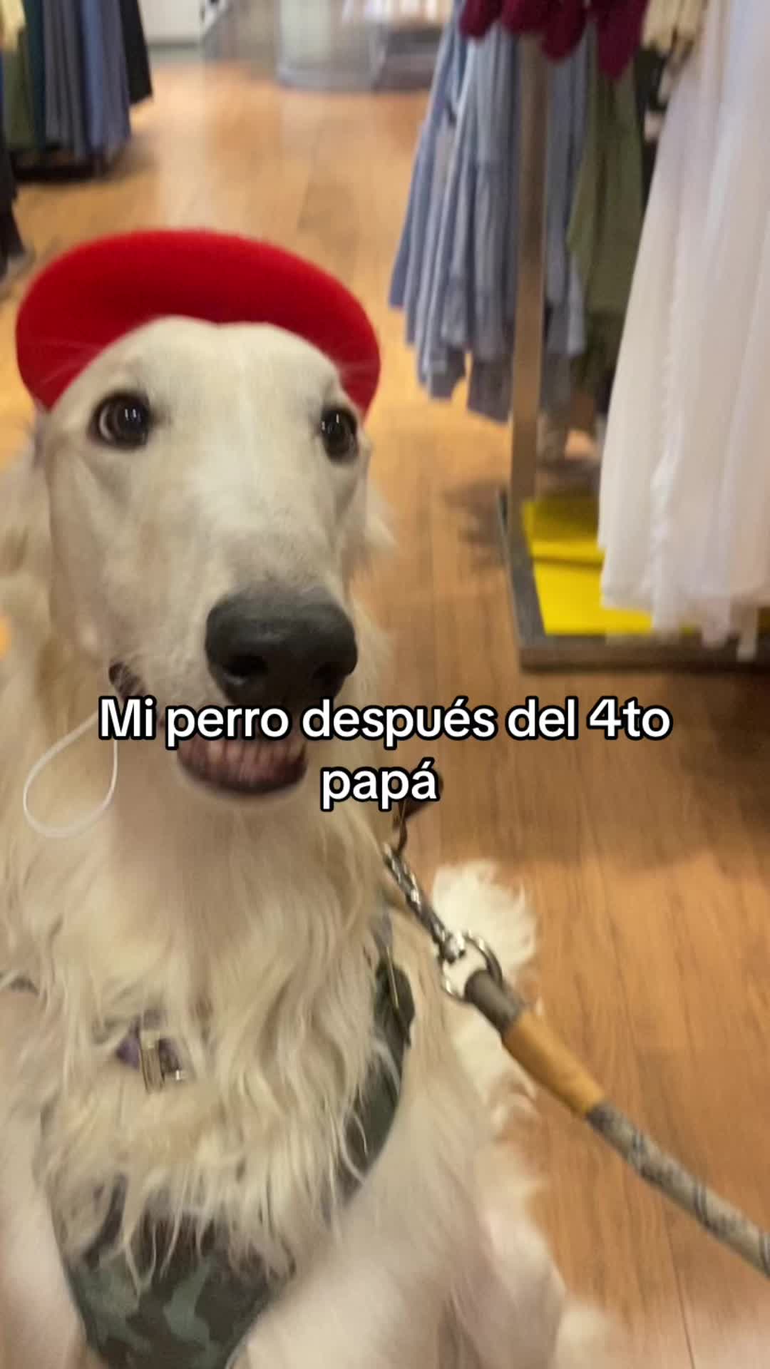 @Alexiiiiiiia