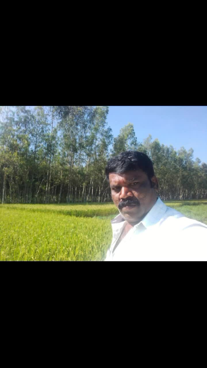 @user345131278446