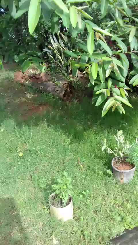 @SwitySharma