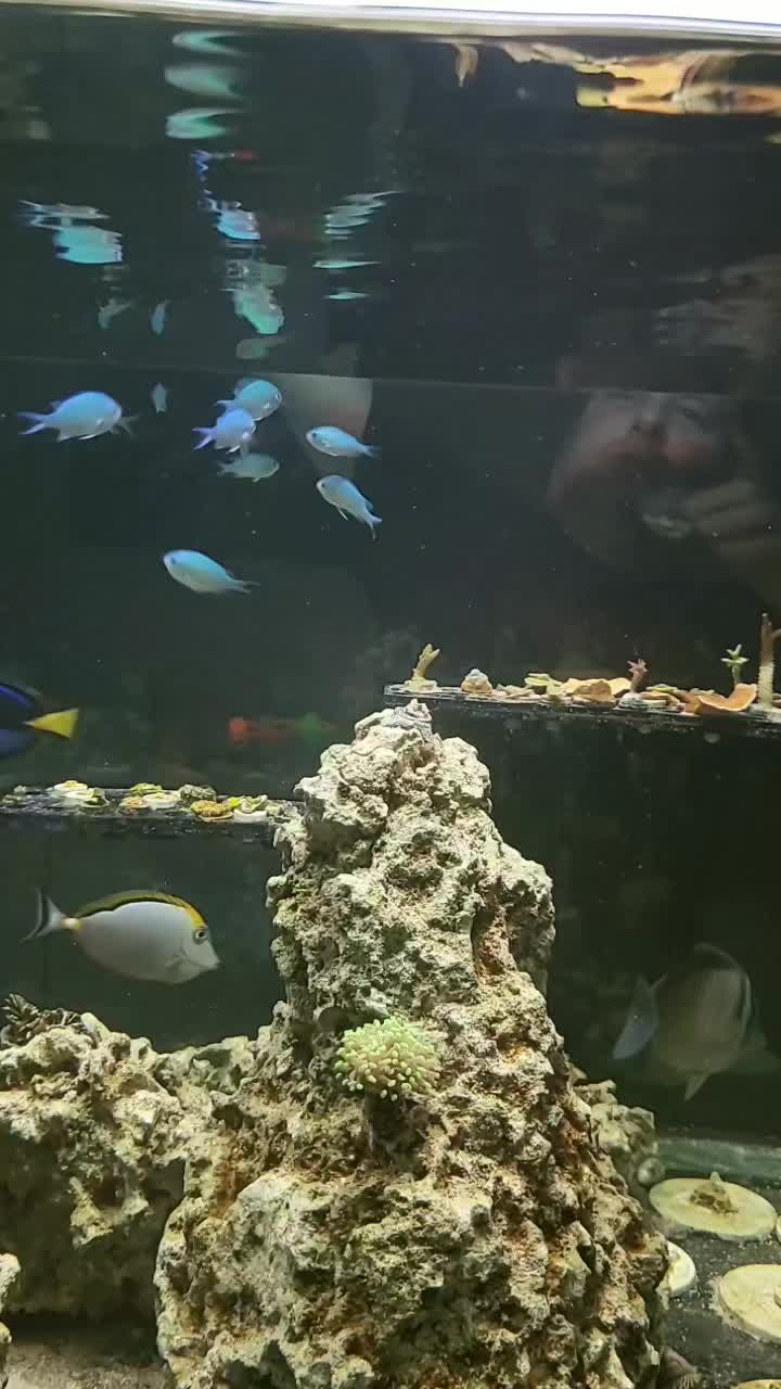 @300gallontank