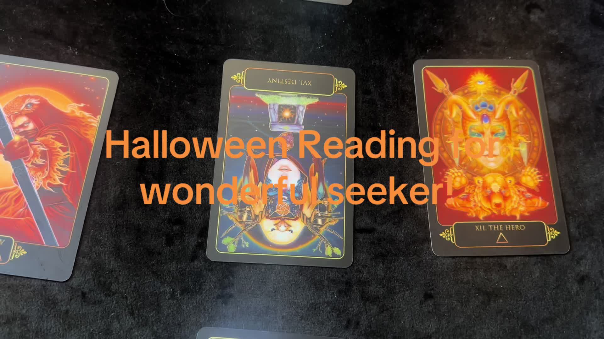 @insightfultarotwithshell